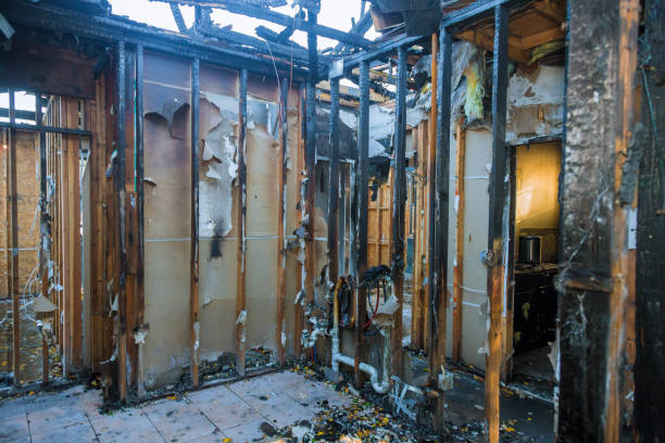 Professional Fire Damage Cleanup technician working in Camden, OH